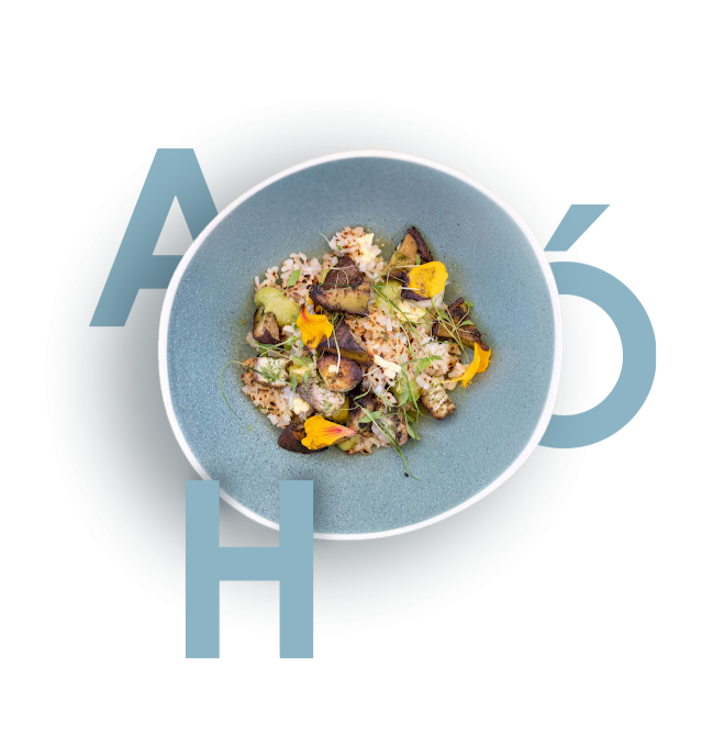 AHÓ Cucina Moderna - Restaurant Paris - restaurant Paris