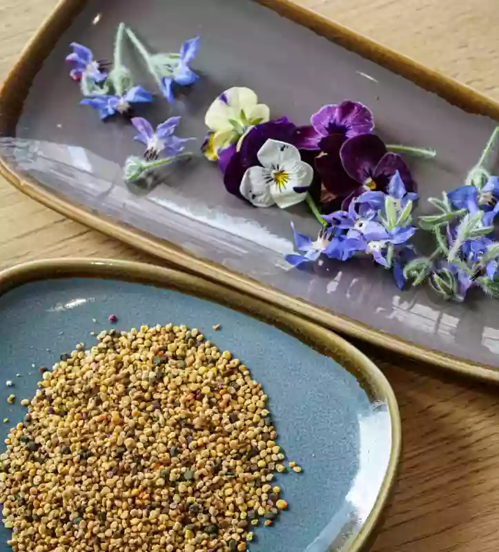 AHÓ Cucina Moderna - Restaurant Paris - Restaurant italien Paris 20